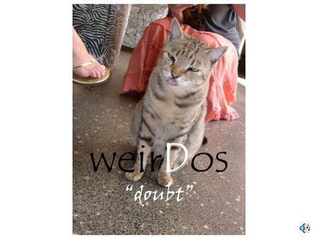 D weirDos “doubt” Certainty Doubt Je sais que… (I know that…) Je dis que… (I say that…) Je doute que… (I doubt that…)