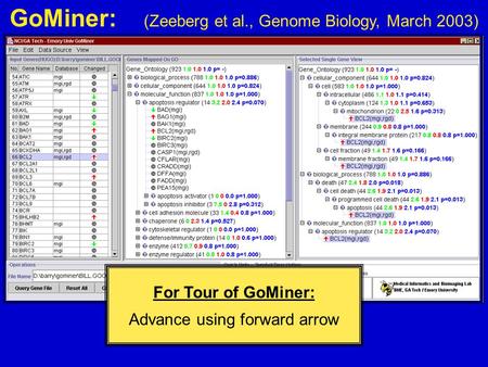 GoMiner: (Zeeberg et al., Genome Biology, March 2003) For Tour of GoMiner: Advance using forward arrow.