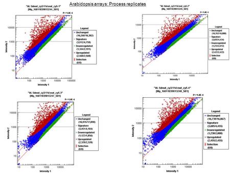 Arabidopsis arrays: Process replicates. Arabidopsis2 arrays.