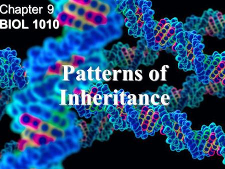 Patterns of Inheritance