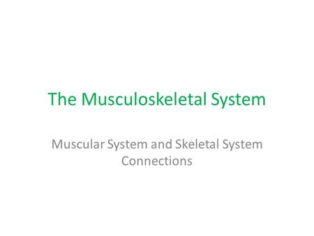 The Musculoskeletal System