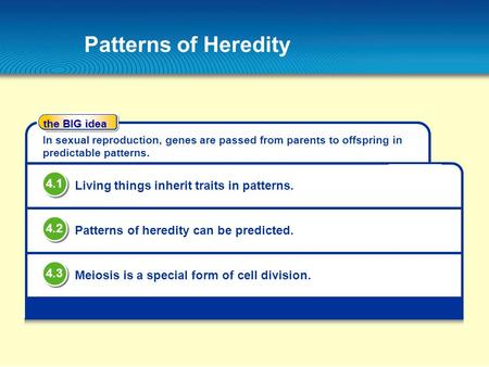 Patterns of Heredity 4.1 Living things inherit traits in patterns. 4.2