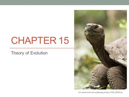 Chapter 15 Theory of Evolution