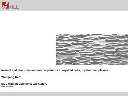 MLL Munich Leukemia Laboratory