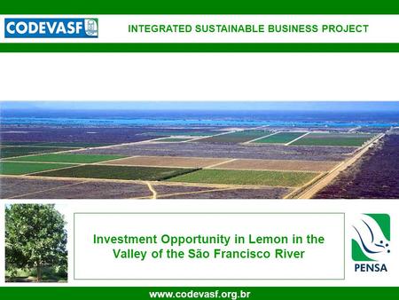 1 www.codevasf.org.br Investment Opportunity in Lemon in the Valley of the São Francisco River INTEGRATED SUSTAINABLE BUSINESS PROJECT.