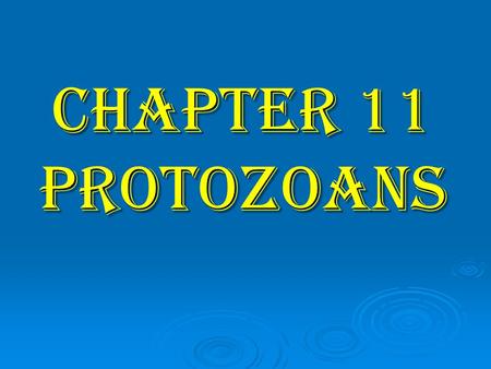 CHAPTER 11 PROTOZOANS.