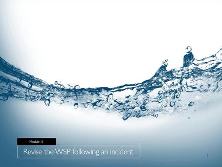 1. Session structure Overview Actions Definition Challenges Outputs Exercises Module 11 WSP revision following incident 2.