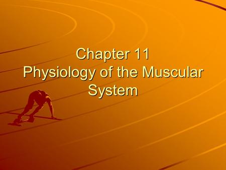 Chapter 11 Physiology of the Muscular System