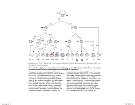 Chapter_11.indd 13/17/11 5:11 PM. Chapter_11.indd 23/17/11 5:11 PM.