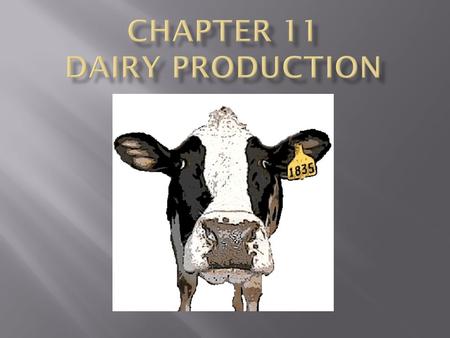  Sources of milk are from goats, camels, llamas, sheep, reindeer, and water buffalo.  Dairy Cattle are the main source of milk in the USA.