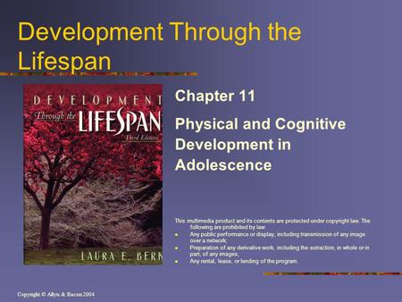 Copyright © Allyn & Bacon 2004 Development Through the Lifespan Chapter 11 Physical and Cognitive Development in Adolescence This multimedia product and.