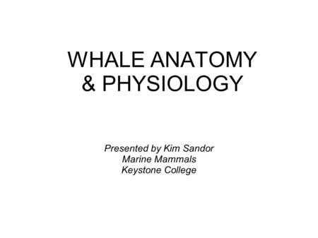 WHALE ANATOMY & PHYSIOLOGY Presented by Kim Sandor Marine Mammals Keystone College.