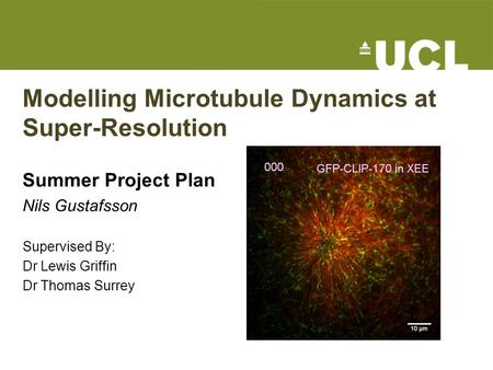 Modelling Microtubule Dynamics at Super-Resolution