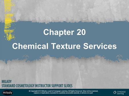 Chapter 20 Chemical Texture Services