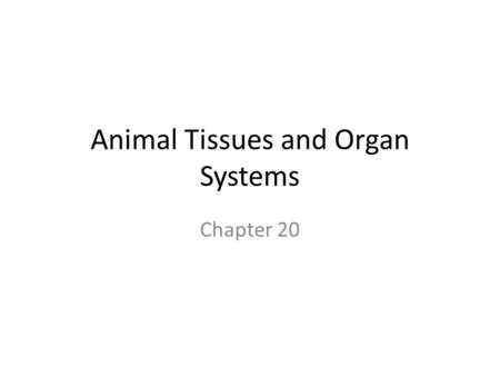 Animal Tissues and Organ Systems