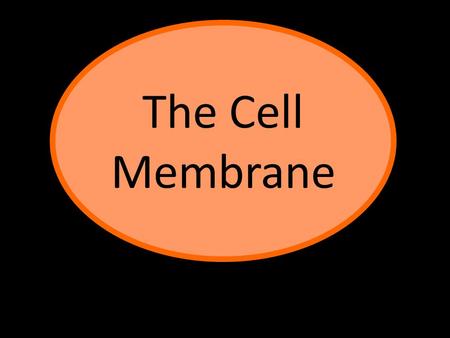 The Cell Membrane.