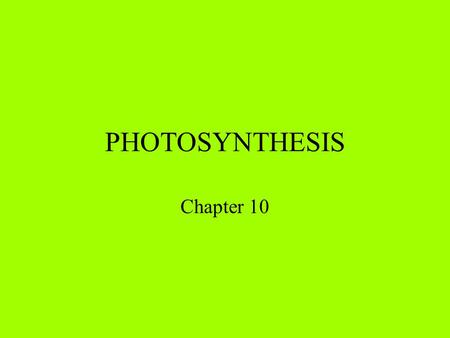 PHOTOSYNTHESIS Chapter 10.