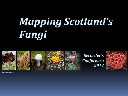 Mapping Scotland’s Fungi Recorder’s Conference 2012 Neville Kilkenny.