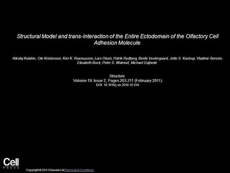 Structural Model and trans-Interaction of the Entire Ectodomain of the Olfactory Cell Adhesion Molecule Nikolaj Kulahin, Ole Kristensen, Kim K. Rasmussen,