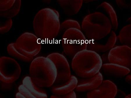 Cellular Transport.