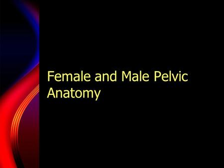 Female and Male Pelvic Anatomy