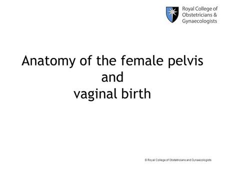 Anatomy of the female pelvis