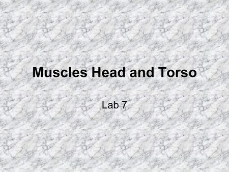 Muscles Head and Torso Lab 7.