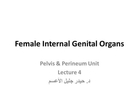 Female Internal Genital Organs