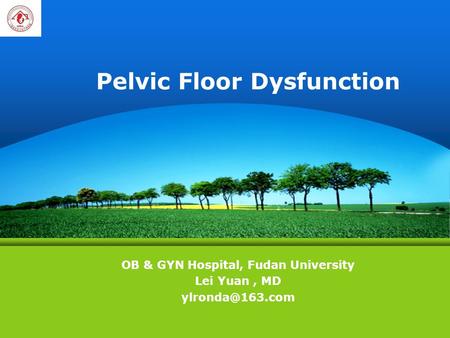 Pelvic Floor Dysfunction