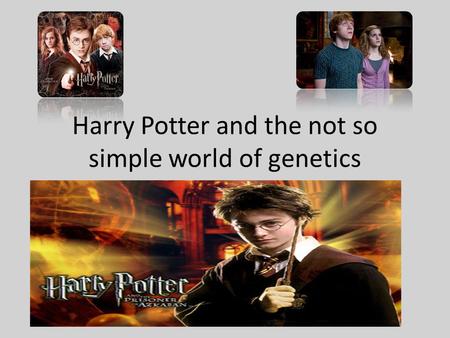 Harry Potter and the not so simple world of genetics