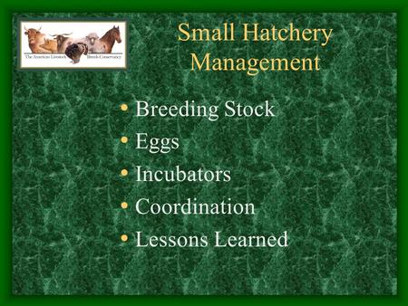 Small Hatchery Management