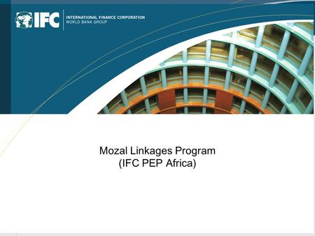 Mozal Linkages Program (IFC PEP Africa). PEP Africa Pipeline in Mozambique  Mozlink II  Tourism Anchor Project  SME EDI  IFC Against AIDS.