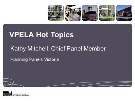 VPELA Hot Topics Planning Panels Victoria Kathy Mitchell, Chief Panel Member.