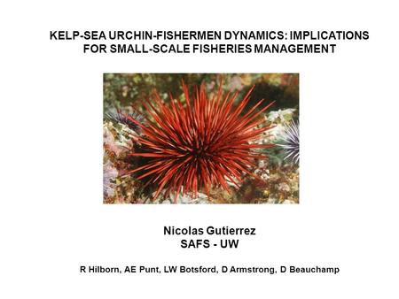 KELP-SEA URCHIN-FISHERMEN DYNAMICS: IMPLICATIONS FOR SMALL-SCALE FISHERIES MANAGEMENT Nicolas Gutierrez SAFS - UW R Hilborn, AE Punt, LW Botsford, D Armstrong,