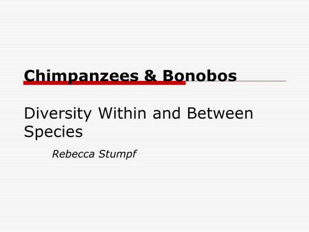 Chimpanzees & Bonobos Diversity Within and Between Species Rebecca Stumpf.