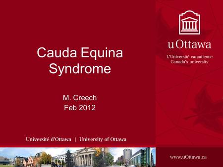 Cauda Equina Syndrome M. Creech Feb 2012. Outline Definition Epidemiology Pathophysiology Presentation Imaging Treatment Outcomes.