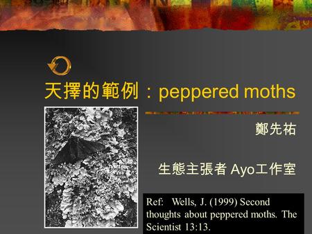 天擇的範例： peppered moths 鄭先祐 生態主張者 Ayo 工作室 Ref: Wells, J. (1999) Second thoughts about peppered moths. The Scientist 13:13.