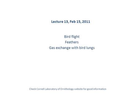 Lecture 13, Feb 15, 2011 Bird flight Feathers Gas exchange with bird lungs Check Cornell Laboratory of Ornithology website for good information.