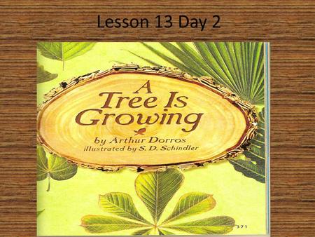 Lesson 13 Day 2. Question of the Day What is you favorite season of the year? Why? My favorite season of the year is _______ because_________.