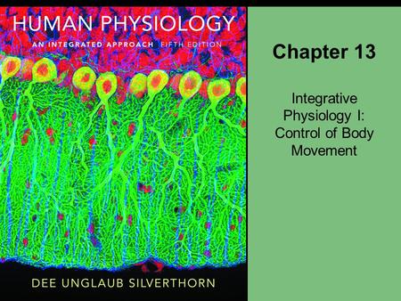 Integrative Physiology I: Control of Body Movement