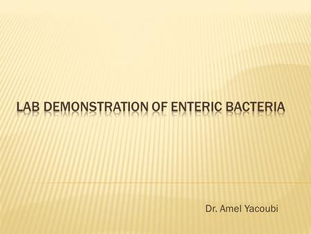 Dr. Amel Yacoubi.  On Gram staining: Gram positive cocci in groups (Figure n°1)  On blood agar: beta hemolysis (complete hemolysis) (Figure n°2)  On.