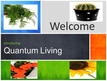 introducing Quantum Living