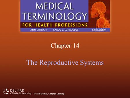 The Reproductive Systems