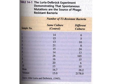 Fig 14-2 Fig 14-3 Fig 14-4 Table 14-2 Fig 14-5.