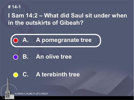 I Sam 14:2 – What did Saul sit under when in the outskirts of Gibeah? # 14-1 A. A pomegranate tree B. An olive tree C. A terebinth tree.