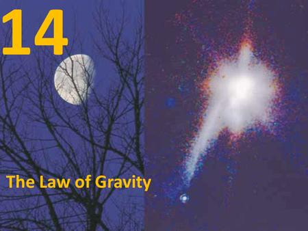 14 The Law of Gravity.