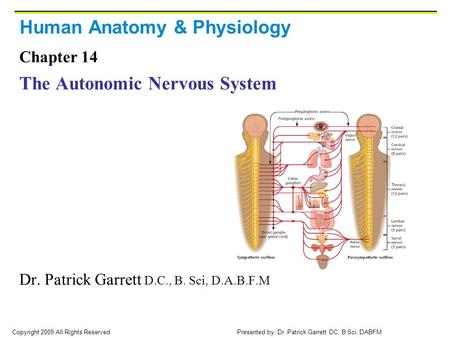 Human Anatomy & Physiology