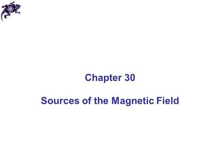 Sources of the Magnetic Field