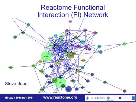 Www.reactome.org Hinxton 30 March 2011 1 Reactome Functional Interaction (FI) Network Steve Jupe.