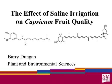 The Effect of Saline Irrigation on Capsicum Fruit Quality Barry Dungan Plant and Environmental Sciences.